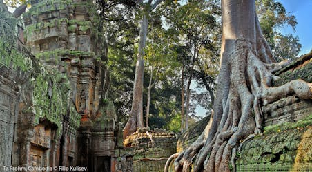 Excursión al amanecer para explorar Angkor Wat en grupos pequeños